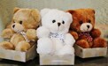 Petite Plush Bear